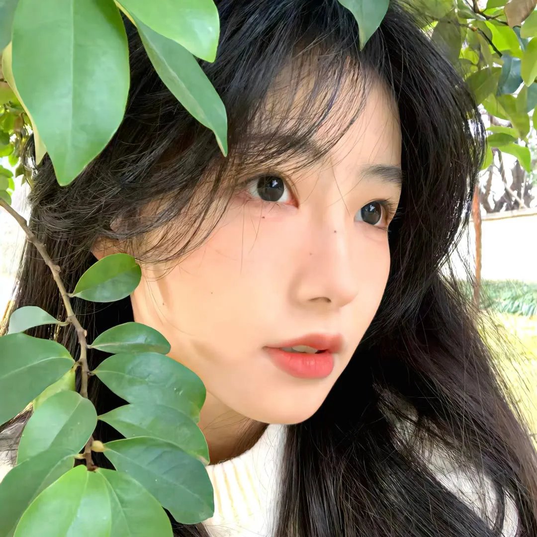 冷案